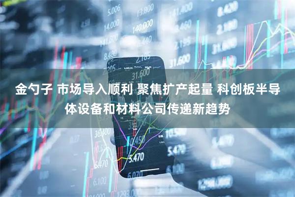 金勺子 市场导入顺利 聚焦扩产起量 科创板半导体设备和材料公司传递新趋势