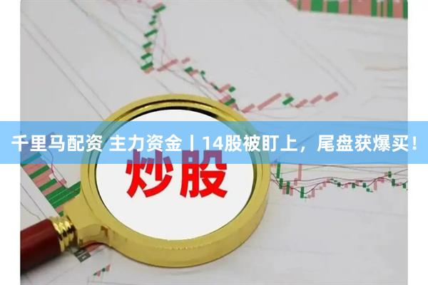 千里马配资 主力资金丨14股被盯上，尾盘获爆买！