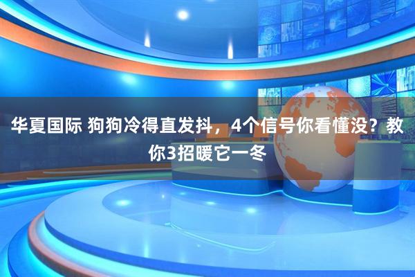 华夏国际 狗狗冷得直发抖,4个信号你看懂没?教你3招暖它一冬