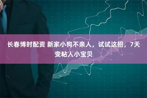 长春博时配资 新家小狗不亲人,试试这招,7天变粘人小宝贝