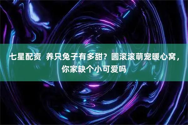 七星配资 养只兔子有多甜?圆滚滚萌宠暖心窝,你家缺个小可爱吗