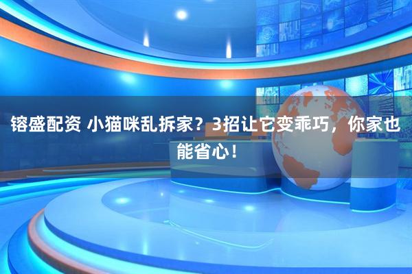 镕盛配资 小猫咪乱拆家?3招让它变乖巧,你家也能省心!