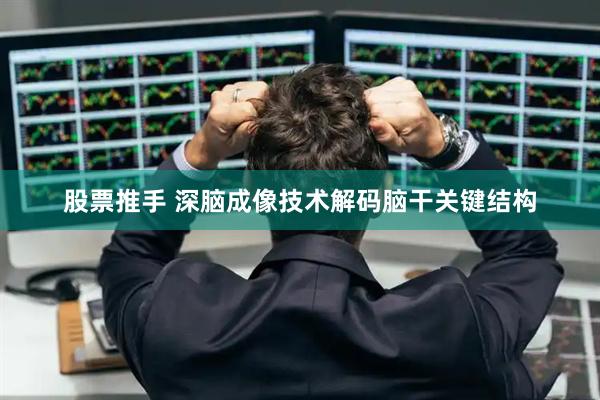 股票推手 深脑成像技术解码脑干关键结构