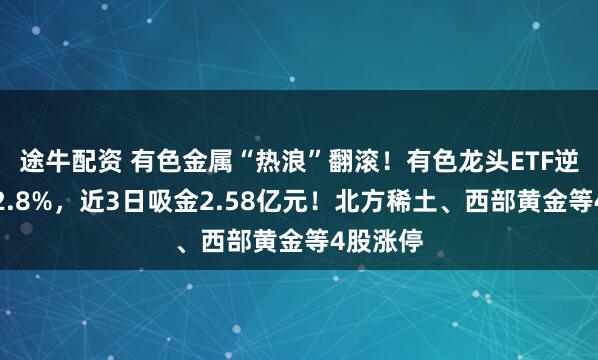 途牛配资 有色金属“热浪”翻滚!有色龙头ETF逆市涨超2.8%,近3日吸金2.58亿元!北方稀土、西部黄金等4股涨停