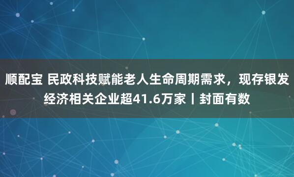顺配宝 民政科技赋能老人生命周期需求，现存银发经济相关企业超41.6万家丨封面有数