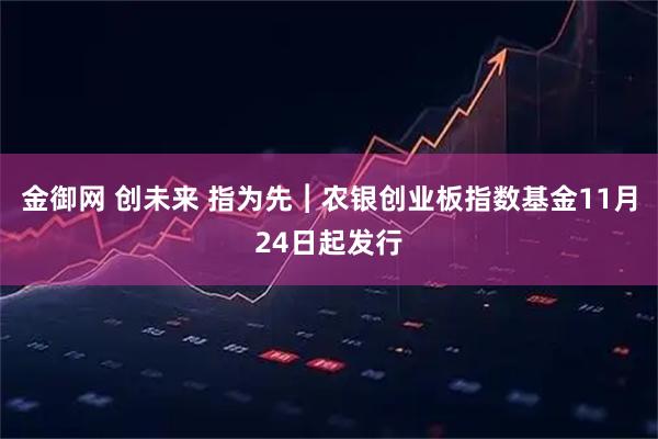 金御网 创未来 指为先︱农银创业板指数基金11月24日起发行