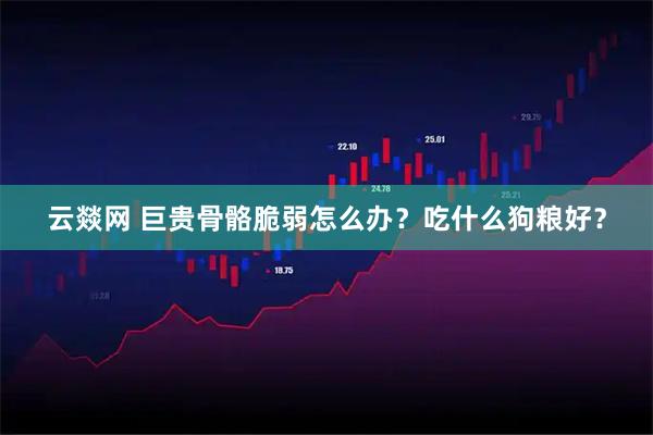 云燚网 巨贵骨骼脆弱怎么办?吃什么狗粮好?